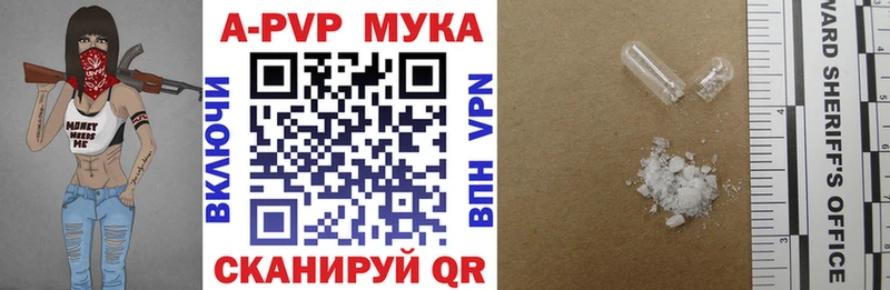 MEGA как зайти  Невельск  А ПВП крисы CK 