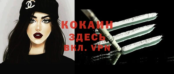 шишки Михайловск