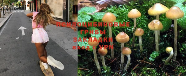 трава Абаза