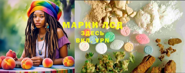 трава Абаза