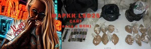 шишки Михайловск