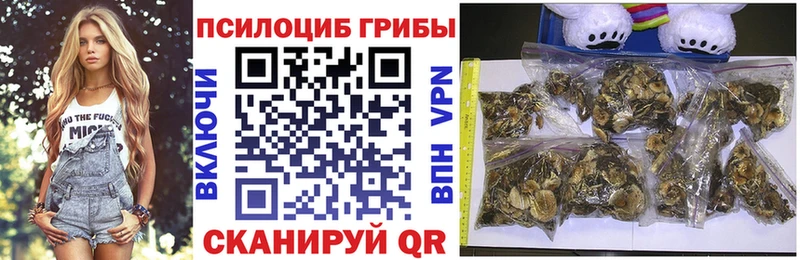 мега как войти  Невельск  Псилоцибиновые грибы MAGIC MUSHROOMS 